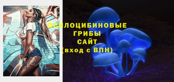 мяу мяу мука Костерёво