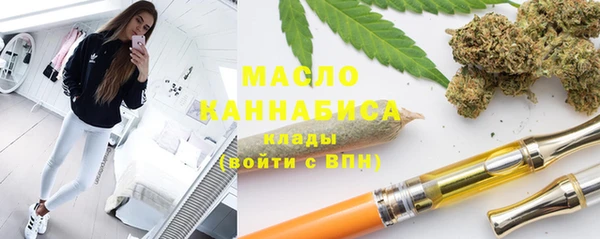 гидра Коряжма