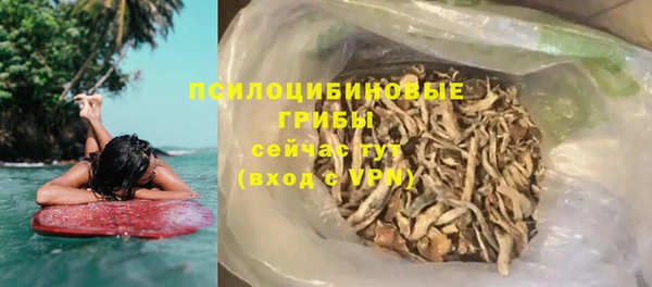гидра Коряжма