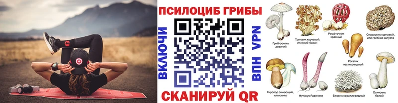 Галлюциногенные грибы Psilocybine cubensis  продажа наркотиков  Короча 